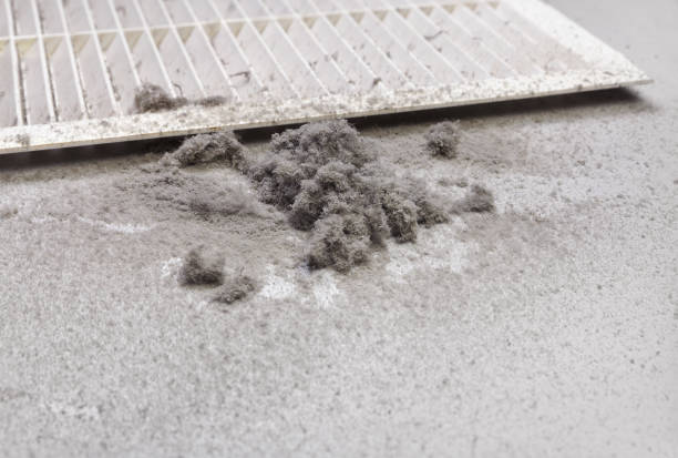 Best Professional Duct Cleaning Services  in Peoria, AZ
