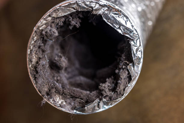 Best Air Vent Cleaning Services  in Peoria, AZ