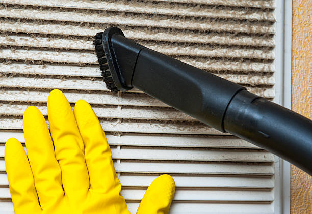 Best Ductwork Cleaning Services  in Peoria, AZ